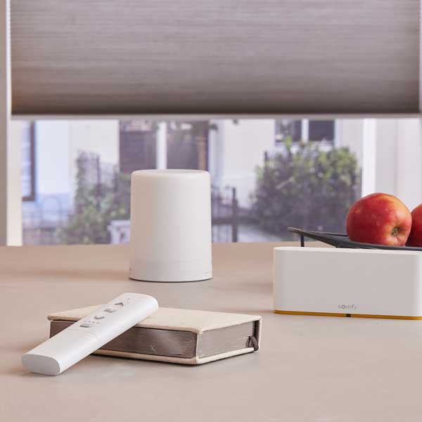 Blind Control with Handsets and Wall switches