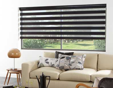 smart electric vision day and night blinds